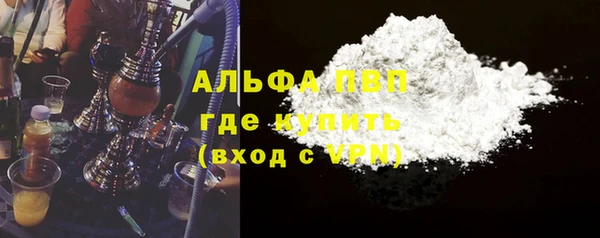прущие грибы Саяногорск