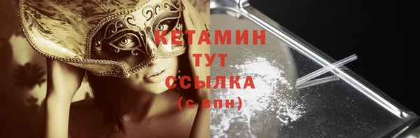 прущие грибы Саяногорск