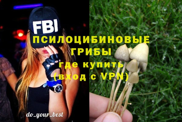 прущие грибы Саяногорск