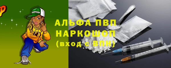 прущие грибы Саяногорск