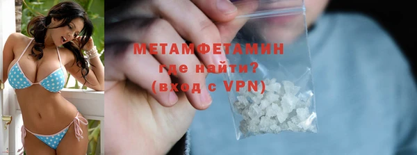 прущие грибы Саяногорск