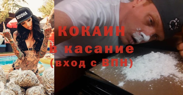 прущие грибы Саяногорск