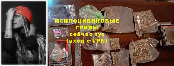 прущие грибы Саяногорск