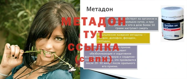 прущие грибы Саяногорск